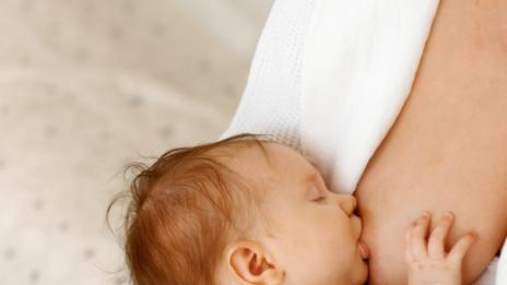 Бодибилдърите полудяха по кърмата