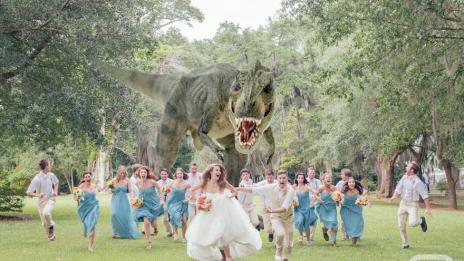 Моята фантастична луда сватба