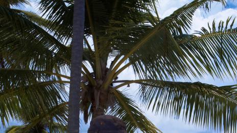 Съществува ли идеалният партньор и как да го намерим  (2 част)