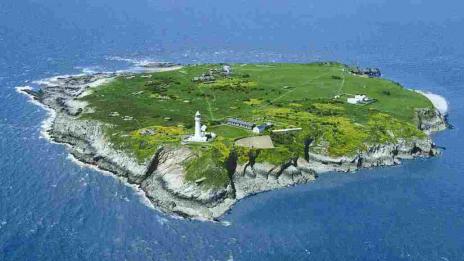 Късче история за продан