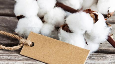 Как да бъдете модерни, без да вредите на природата?