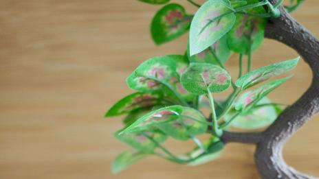 На какво ухае домът ви?