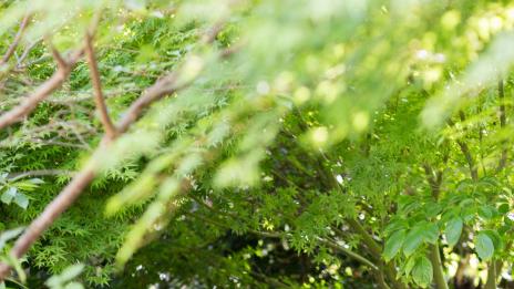 Марк Зукърбърг се ожени за педиатърка