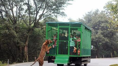 Зоологическа градина само за смелчаци