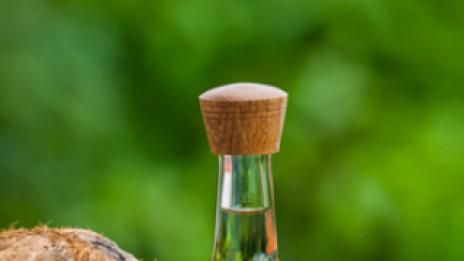 Най-добрите естествени масла за коса и кожа – част 2