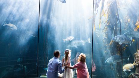 4 урока от детството, които да забравите в зряла възраст