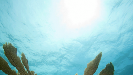 Подводният музей в Канкун