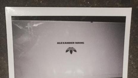 Новата колаборация на Alexander Wang