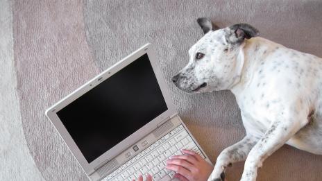 Компютърът - новият най-добър приятел на човека