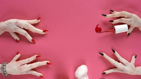 Животни приемат странни човешки характеристики