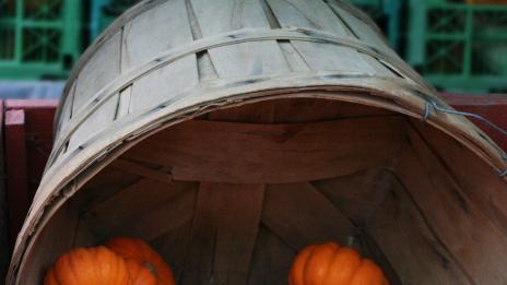 Диета с тиква