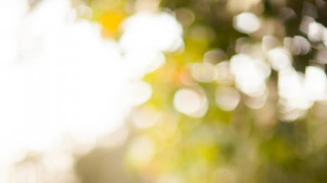 Здравословните навици, които жените трябва да придобият до 30 – част втора