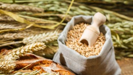 Колко „вреден“ е хлябът