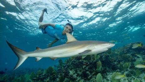 Адреналин: Нина Добрев плува с акули