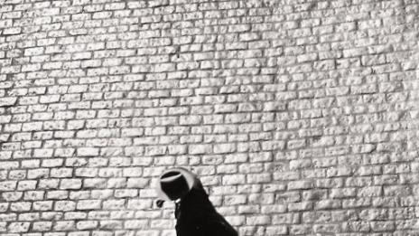 Най-голямата лъжа, изричана от ВСИЧКИ