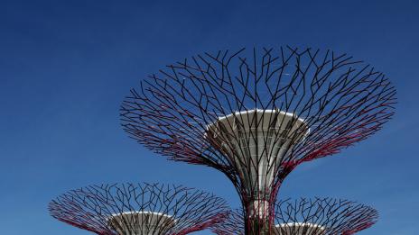 Флорална красота на „Южния залив“ в Сингапур