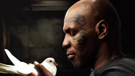 Майк Тайсън и гълъбите