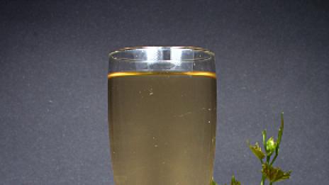 От любов към виното: Св. Трифон Зарезан