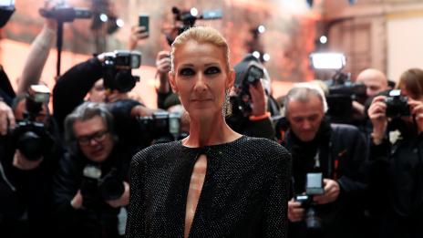 Селин Дион прекъсна концерт, изчака фен да отиде до WC