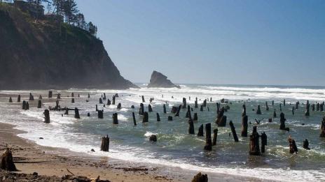Призрачната древна гора в Нескоуин