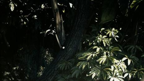 Как да имате стегнат корем като на Чарлийз Терон