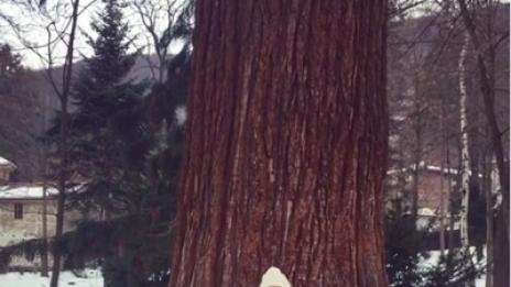 Никол в Instagram: Праща любов от България