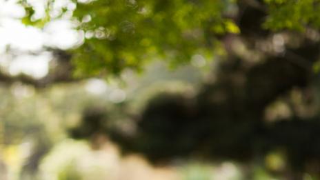 Медитация срещу грип и настинка