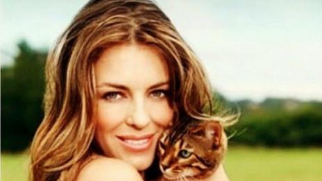 Лиз Хърли в паника, изгуби котарака си