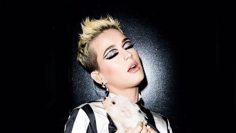 Кейти Пери замени Орландо с прасенце