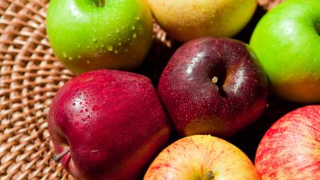 Магията е в кората