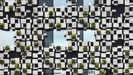 Сграда с жива фасада „поникна“ в Япония