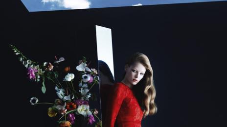 Цветя през есента