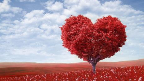 Денят на влюбените Свети Валентин – с традиция от XIV век