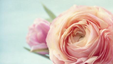 Честит празник на Вяра, Надежда, Любов и София!