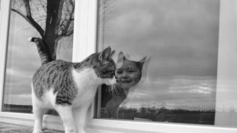 Красотата на случайността: Невероятни кадри, направени инцидентно