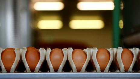 Не слагайте яйцата на вратата на хладилника