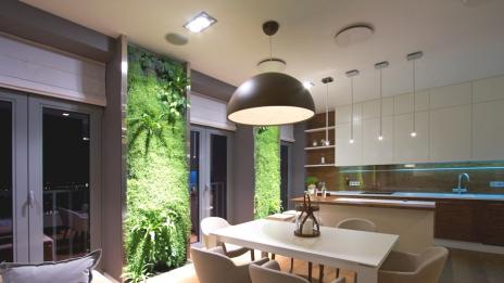 Зеленина у дома