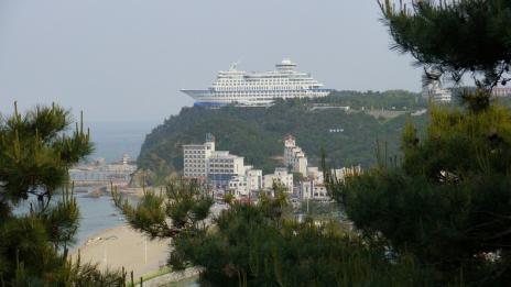 На круизен кораб без морска болест