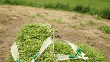 Боса по тревата, вървя си