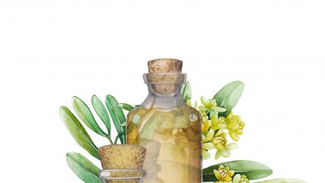 Масло от жожоба - кои са ползите му за кожата?