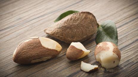 Бразилски орех – бомба от селен