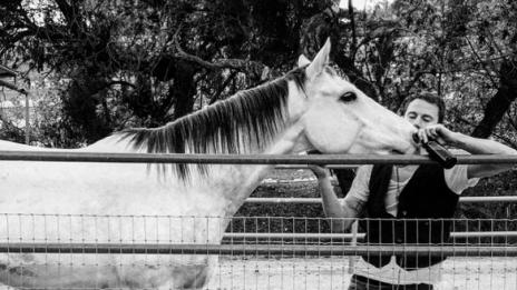 Чанинг Тейтъм си осинови кон