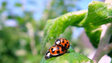 Не е ясно защо живеем, но се знае защо се...
