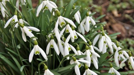 Хороскопът ви за 6 април