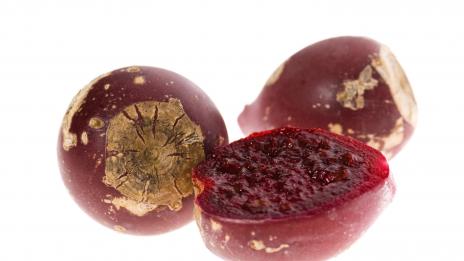 Ползите за здравето от ямайската туна