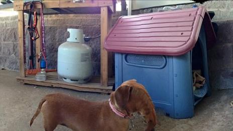 Фотографски грешки: Странни опити за панорамна снимка