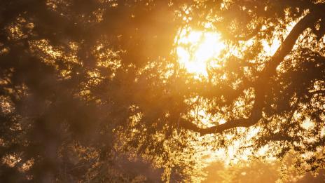 Интересни факти за Зимбабве – част втора