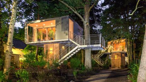 Уютен дом сред дърветата