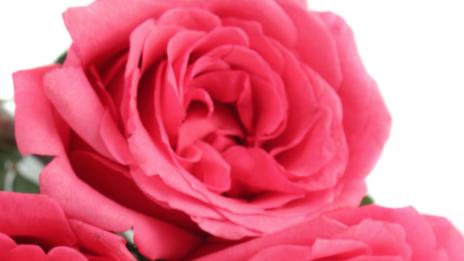 Съвети за купуване на годежен пръстен