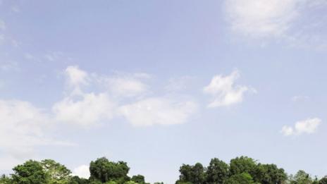 Висящите градини на Убуд